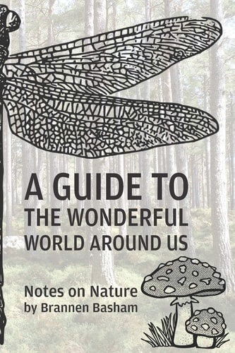 A Guide to the Wonderful World Around Us Notes on Nature