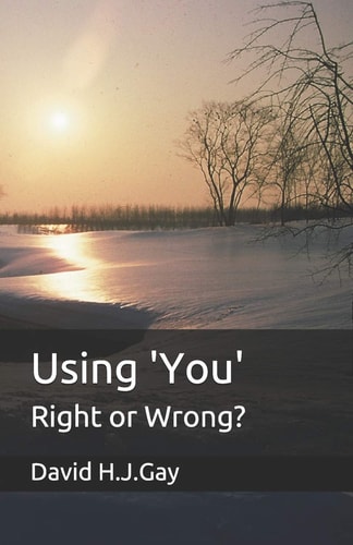 Using 'You' Right Or Wrong?