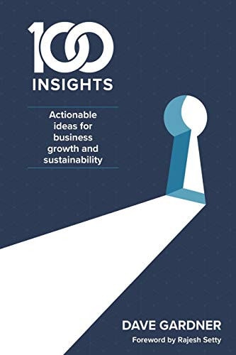100 Insights Actionable Ideas for Business Growth and Sustainability