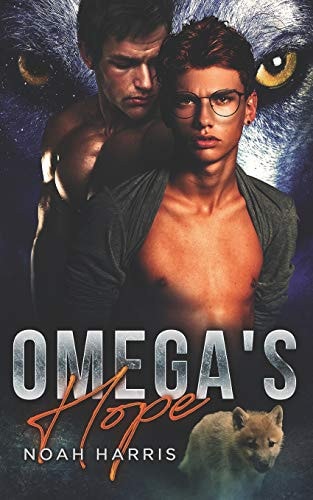 Omega's Hope An MPREG Shifter Romance