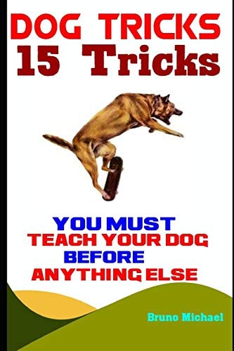 Dog Tricks 15 Tricks You Must Teach Your Dog Before Anything Else