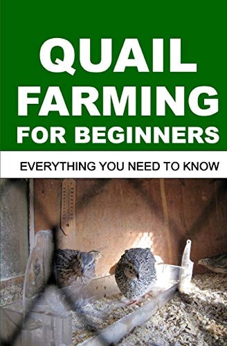 Quail Farming for Beginners Everything You Need To Know