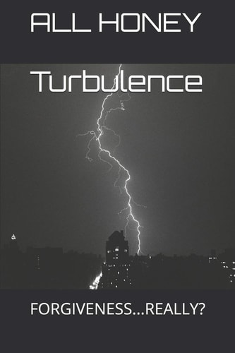 Turbulence Forgiveness... Really?