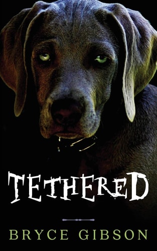 Tethered County Line Horror #4