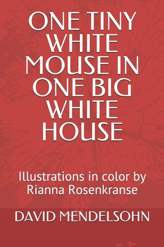 One Tiny White Mouse in One Big White House Colored Illustrations by Rianna Rosenkranse