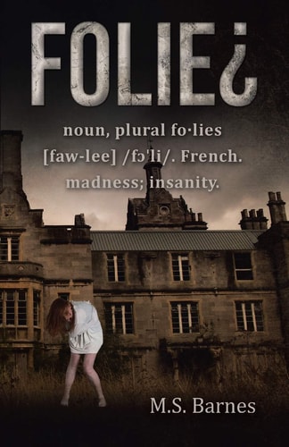 Folie¿ Noun, Plural Fo·lies [faw-Lee] /fɔˈli/. French. Madness; Insanity