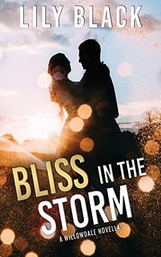 Bliss in the Storm A Willowdale Novella