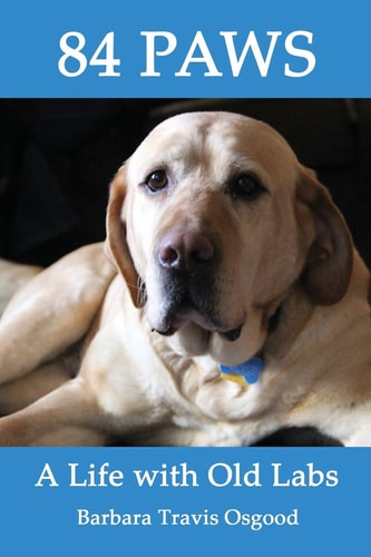 84 Paws A Life with Old Labs