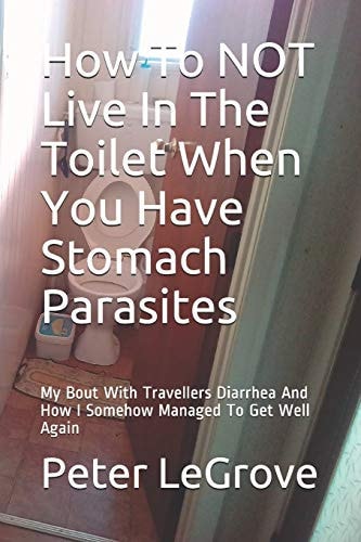 How To NOT Live In The Toilet When You Have Stomach Parasites My Bout With Travellers Diarrhea And How I Somehow Managed To Get Well Again