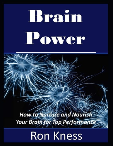 Brain Power How to Nurture and Nourish Your Brain for Top Performance