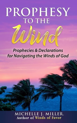 Prophesy to the Wind Prophecies & Declarations for Navigating the Winds of God