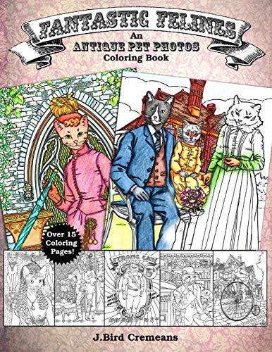 Fantastic Felines An Antique Pet Photos Coloring Book