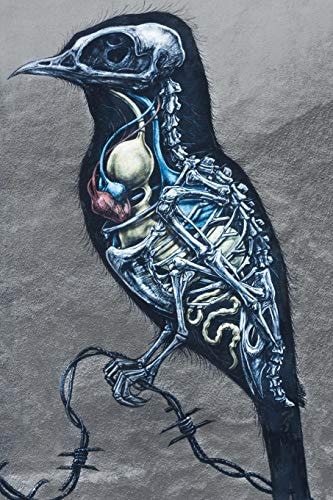 Raven Touch