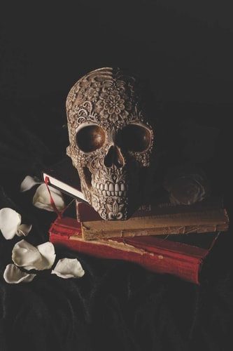 For The Love of Skulls