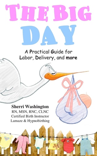 The Big Day A Practical Guide for Labor, Delivery, and More