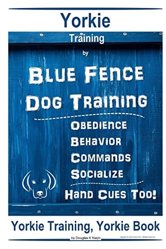 Yorkie Training By Blue Fence DOG Training Obedience Behavior Commands Socialize Hand Cues Too Yorkie Training