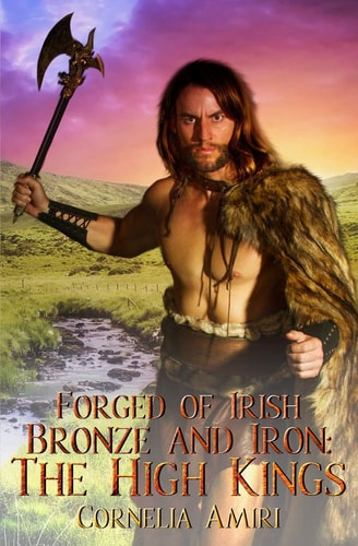 Forged of Irish Bronze and Iron The High Kings