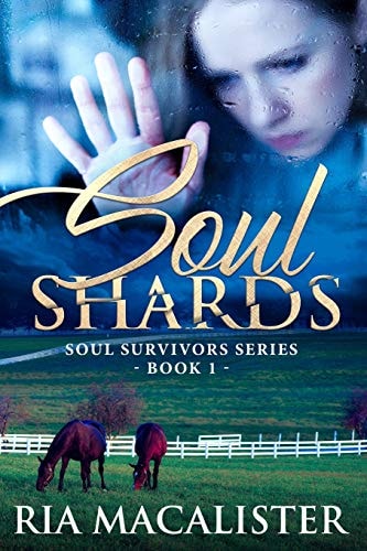 Soul Shards A Romantic Suspense Sports Novel