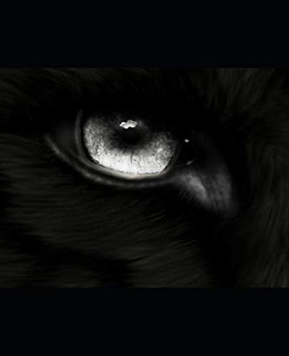 Wolf Destruction: Book 5 of the WOLF Series.