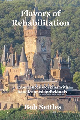 Flavors of Rehabilitation Experience of Helping Handicapped Persons Become Employed