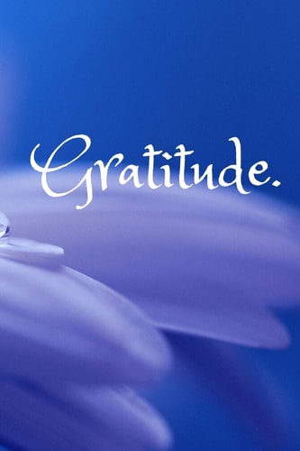 Gratitude.