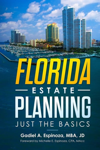 Florida Estate Planning Just the Basics