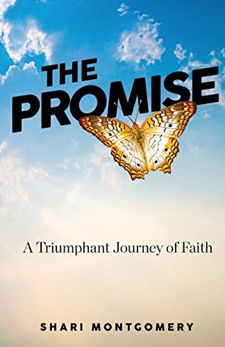 The Promise A Triumphant Journey of Faith