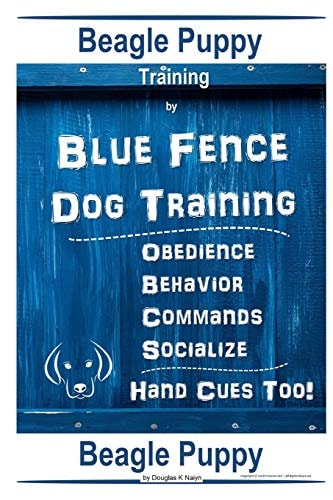 Beagle Puppy Training By Blue Fence DOG Training, Obedience Behavior Commands Socialize, Hand Cues Too! Beagle Puppy