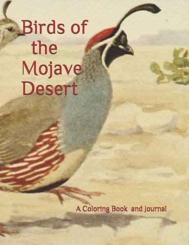 Birds of the Mojave Desert A Coloring Book for All Ages