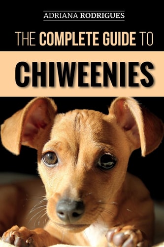 The Complete Guide to Chiweenies Finding, Training, Caring for and Loving Your Chihuahua Dachshund Mix