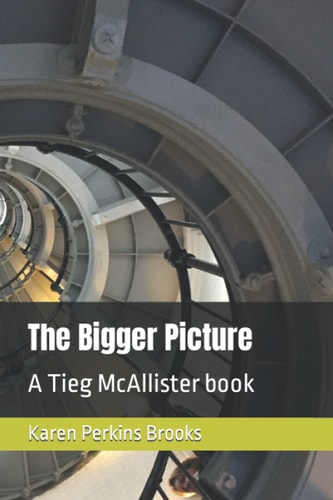 The Bigger Picture A Tieg McAllister Book