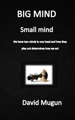 BIG MIND Small Mind We Have Two Minds in One Head