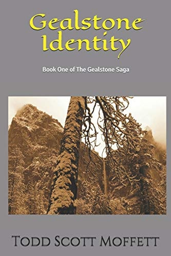 Gealstone Identity Book One of The Gealstone Saga