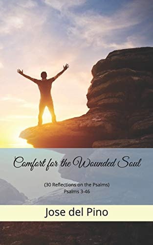 Comfort for the Wounded Soul (30 Reflections on the Psalms) Psalms 3-46