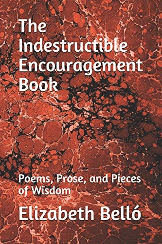 The Indestructible Encouragement Book Poems, Prose, and Pieces of Wisdom