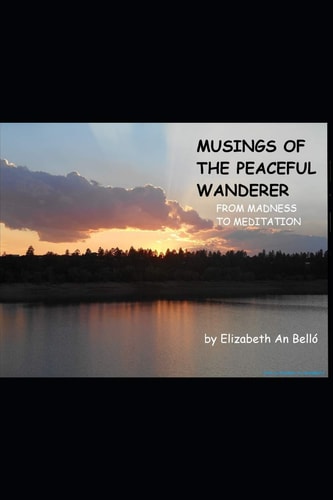 Musings of The Peaceful Wanderer From Madness to Meditation