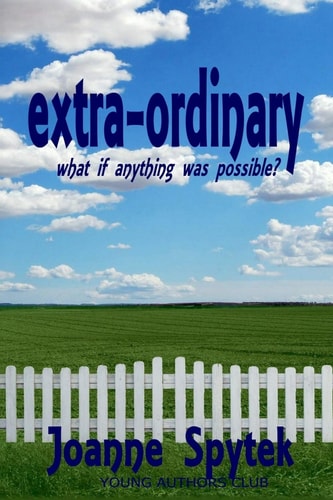 Extra-Ordinary What If Anything Was Possible?