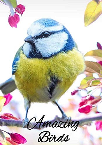 Amazing Birds Coloring Book for Adults.
