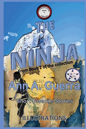 The Ninja From Book 2 of the Collection No. 19