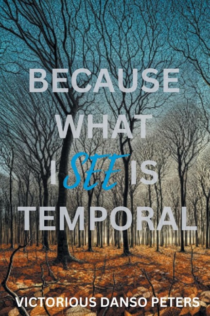 Because What I See Is Temporal