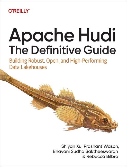Apache Hudi: The Definitive Guide: Building Robust, Open, and High-Performing Data Lakehouses