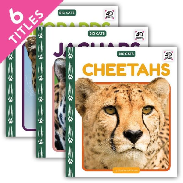 Big Cats (Set)