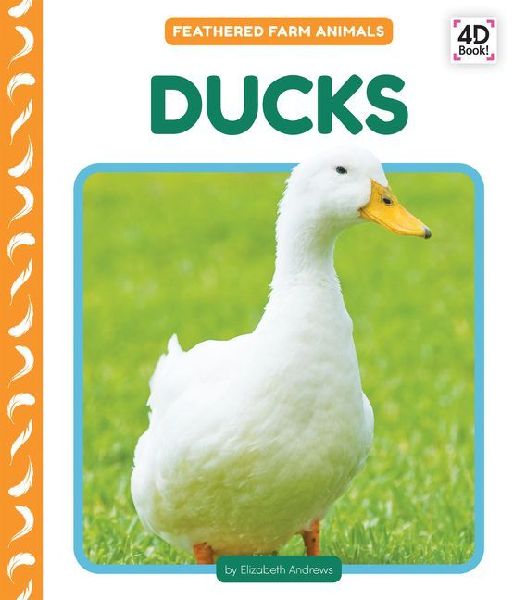Ducks