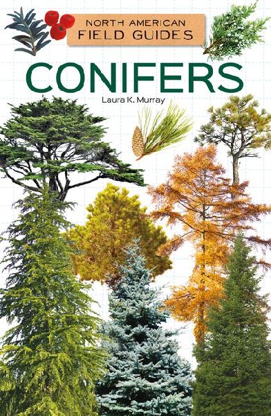 Conifers