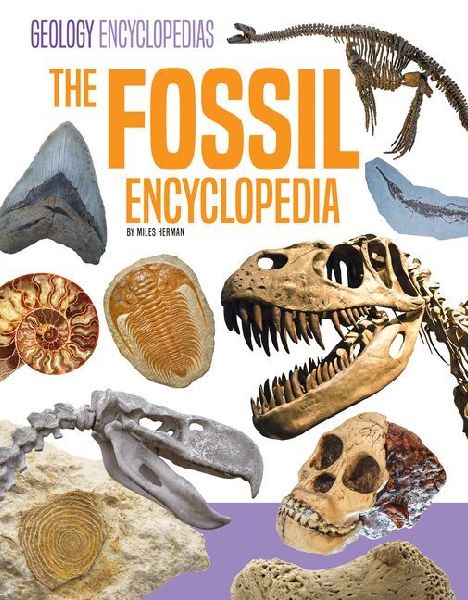 Fossil Encyclopedia