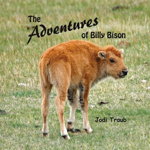 The Adventures of Billy Bison