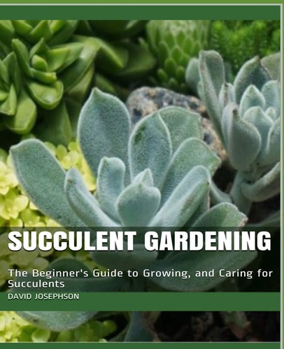 Succulent Gardening The Beginner's Guide to Growing, and Caring for Succulents