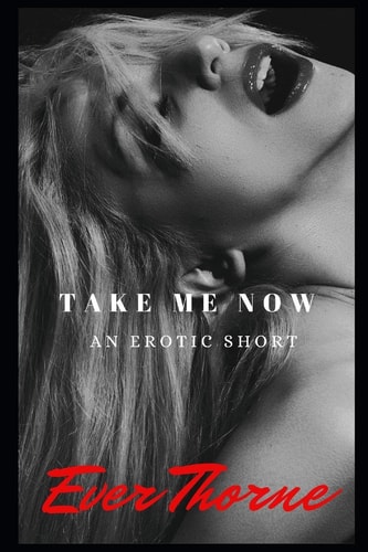 Take Me Now An Erotic Short