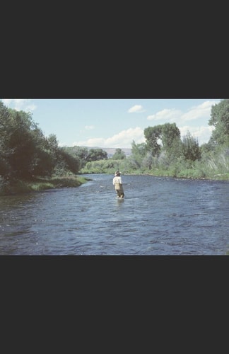 In Stream Poems