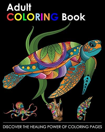 Adult Coloring Book Discover the Healing Power of Coloring Pages